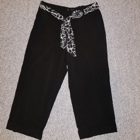Pantology Pants - NWOT Plus Size Pantology Wide Ankle Trousers, 14W